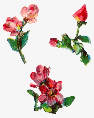 Rose Shabby Chic Collage Sheet Digital Downloadd Clipart - Artificial Flower #8952771