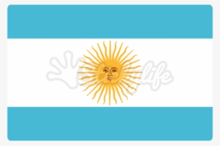 Argentina Decal - African Daisy #8953300