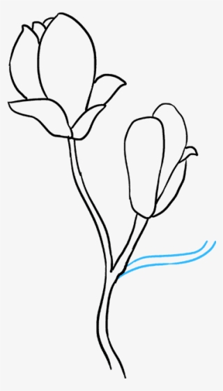 How To Draw Flowers Really Easy Tutorial - Drawing Step By Step Magnolia Flower #8955704