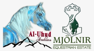 About Us - Horse #8956266