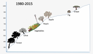Current Agriculture In The Village Of Abadiyeh - Night #8956275