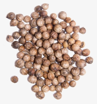White Coriander Seed - Transparent Coriander Seeds Png #8958819