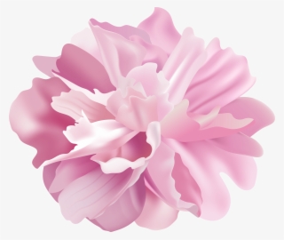 Peony Flower Transparent Image #8960260 Peony Flower Transparent Image #8960260