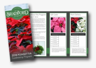 How To Order - Poinsettia #8960362