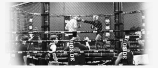 About Eric Nolan's Xtreme Training Center - Eric Nolan's Xtreme Training Center #8960509