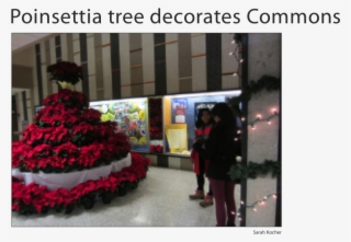 Sarah Kocher - Decoration #8960671