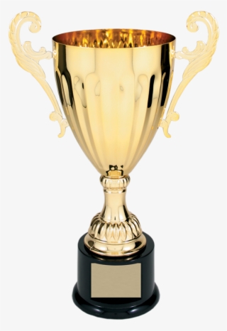 Metal Slim Cup - Big Trophy #8960968