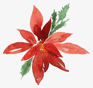 Poinsettia #8961246 Poinsettia #8961246