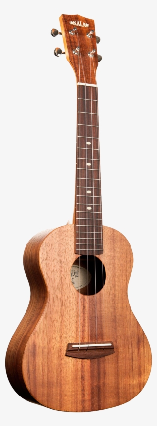 Blueberry Bluegrass Festival - Teton Guitar Mahogany #8961292