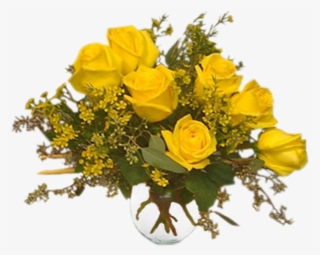 Glow Bright - Floribunda #8961375