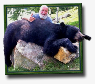 Ontario Black Bear Hunting Bow/archery Crossbow Hunts - Ontario Bear Hunting Regions #8962281