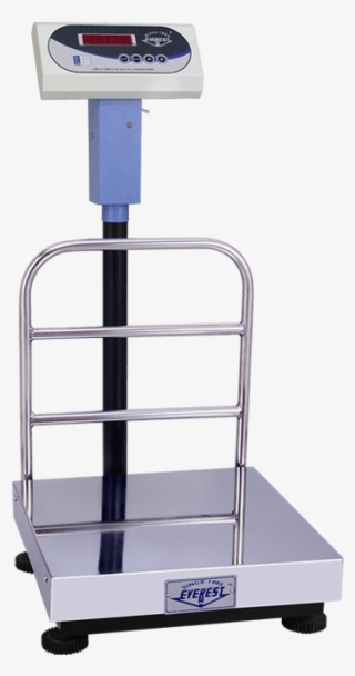 Platform Scale Png #8962574