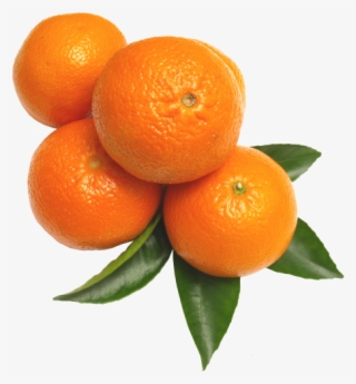 Orange Transparent Png Image - Tangerines Png #8962863