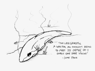 Dead Shark - Sketch #8964015