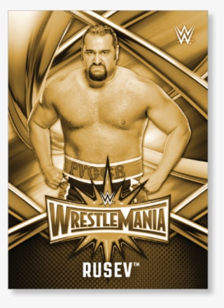 Gallery - Sasha Banks Wwe Wrestlemania 33 #8964514