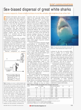 Pdf - Tiger Shark #8964566