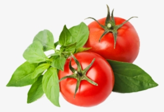 Taylors Eye Witness Brooklyn Cheese Knife Set #8965973