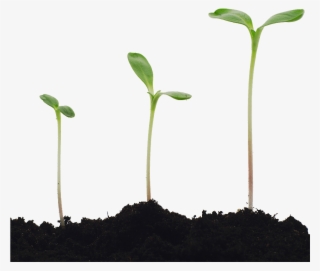 Getty Images #8966055