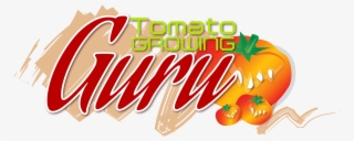 Tomato Growing Guru #8966448