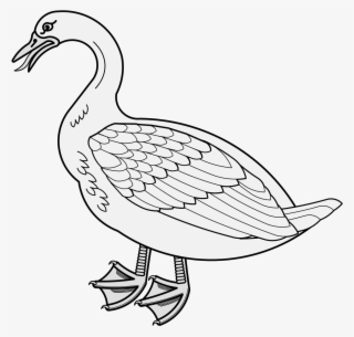 Goose - Duck #8967670