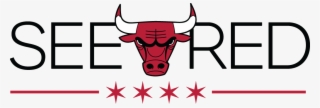 1024 X 347 6 - Chicago Bulls See Red Png #8969687