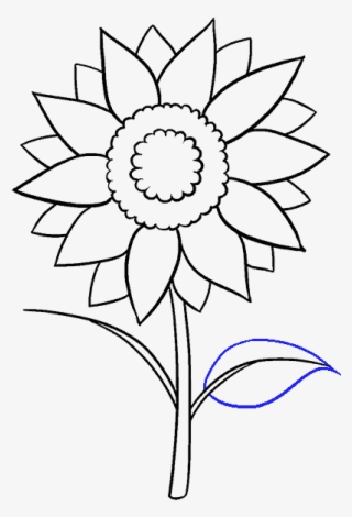 How To Draw Sunflower - Free Clip Art Sunflower Black And White #8970787