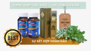 M4 Png - Coriander #8971538