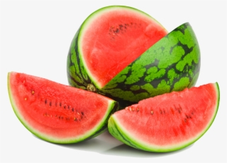 Watermelon - Caracteristicas De Una Sandia #8974516