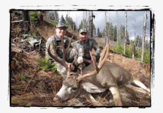 Rifle Season Always Proves To Be Exciting Because The - Elk #8977063