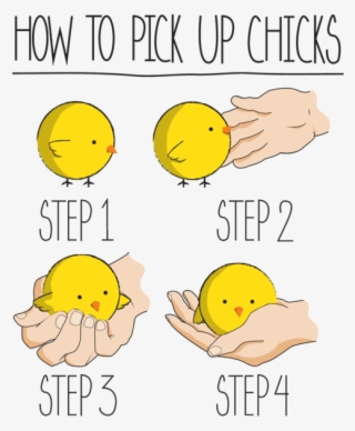 0 Replies 1 Retweet 2 Likes - Pick Up Chicks Funny #8977816