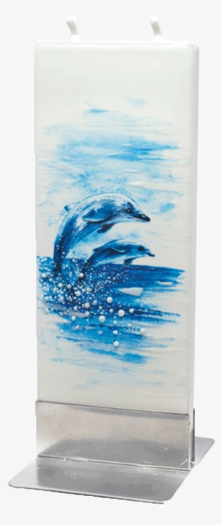 Common Bottlenose Dolphin #8979199