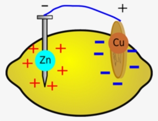 This Could Seriously Damage You Phone, So Proceed With - Lemon Battery Diagram #8980093