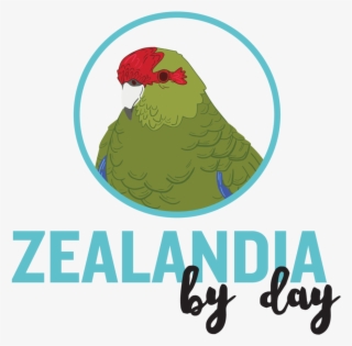 Check Out Our Fantastic Deals And Special Offers Below - Parakeet #8980336