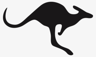 캥거루 Png 무료다운로드 Free Kangaroo Png #8980805