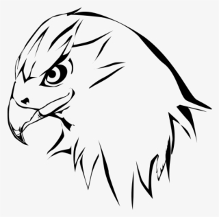 Coopers Hawk Clipart Drawn - Hawk Drawing #8982825