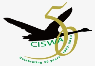 Ciswa Birthday Logo - Graphic Design #8984173
