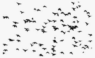 Flock, Birds, Animals, Flight, Flying, Silhouette, - Flock Of Birds Silhouette #8984358 Flock, Birds, Animals, Flight, Flying, Silhouette, - Flock Of Birds Silhouette #8984358