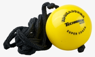 1024 X 1024 1 - College Softball #8984653