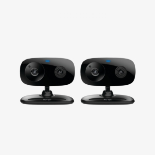 Focus66 - Motorola Focus66-b #8984654