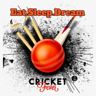 Anna › Cricket Lovers - Cricket Lovers #8984703