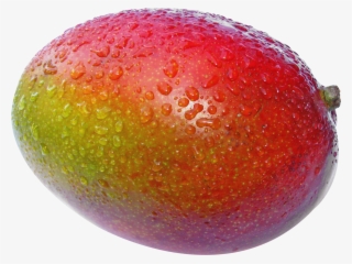 Mango Images, Clip Art, Illustrations, Pictures - Mango Fruit #8985629