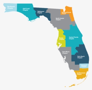 Chapter - Florida East Gulf Coastal Plain Map #8987923