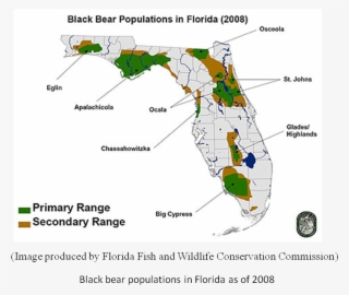 Before Florida Was Settled By Europeans In The 1500 - Black Bears In Florida Map #8988011