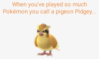 Look At Me Judgingly - Pokemon Go Pidgey #8989295