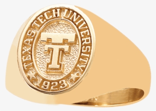 Texas Tech University Health Sciences Center Lubbock-tx - Emblem #8989638
