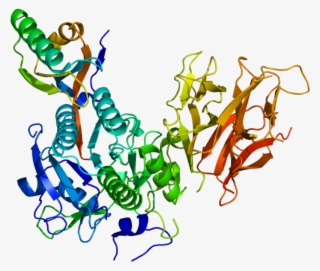 The Enzyme Proprotein Convertase Subtilisin Kexin Type - Bococizumab #8990086