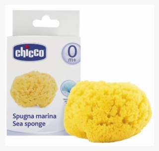 Chicco #8990088