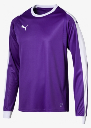 Puma Liga Gk Shirt Youth - Puma Goalkeeper Jersey Youth #8991636