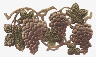 Grape Vine Png - Illustration #8992332