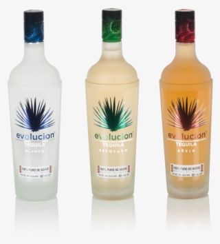 Agave Partners - Menta #8992509